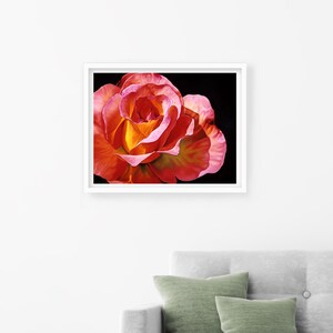 Claudia | Giclée art print