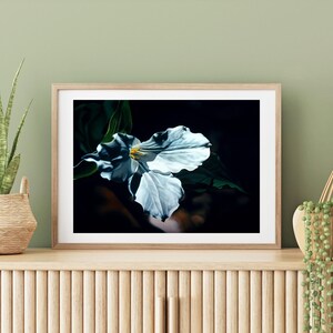 Anna | Giclée art print
