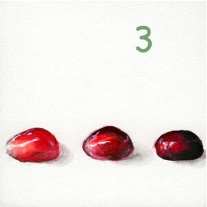 Mini Pomegranate Prints, 4x4 image 4