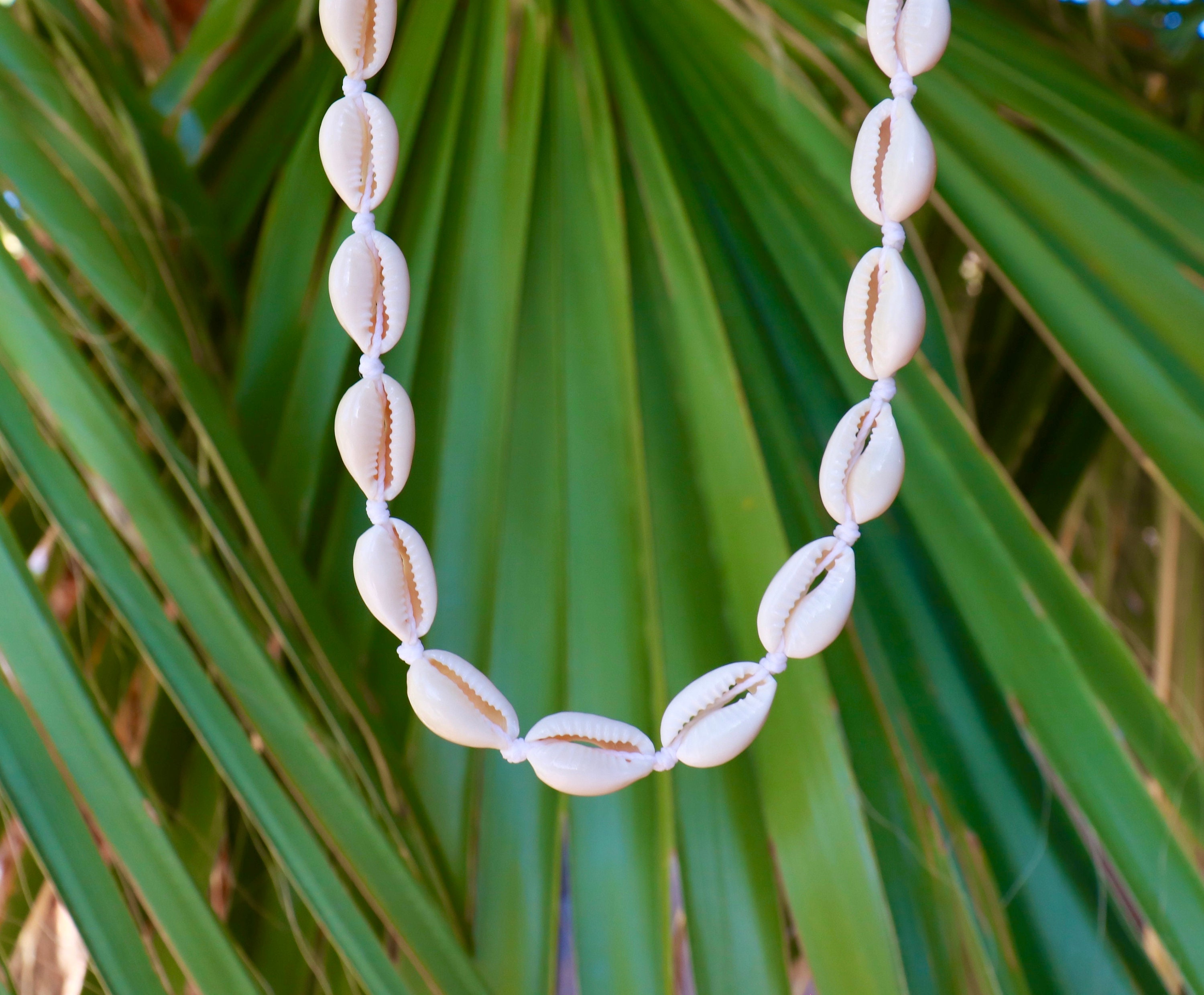 Whitevsco Cowrie Shell Choker Necklace Etsy