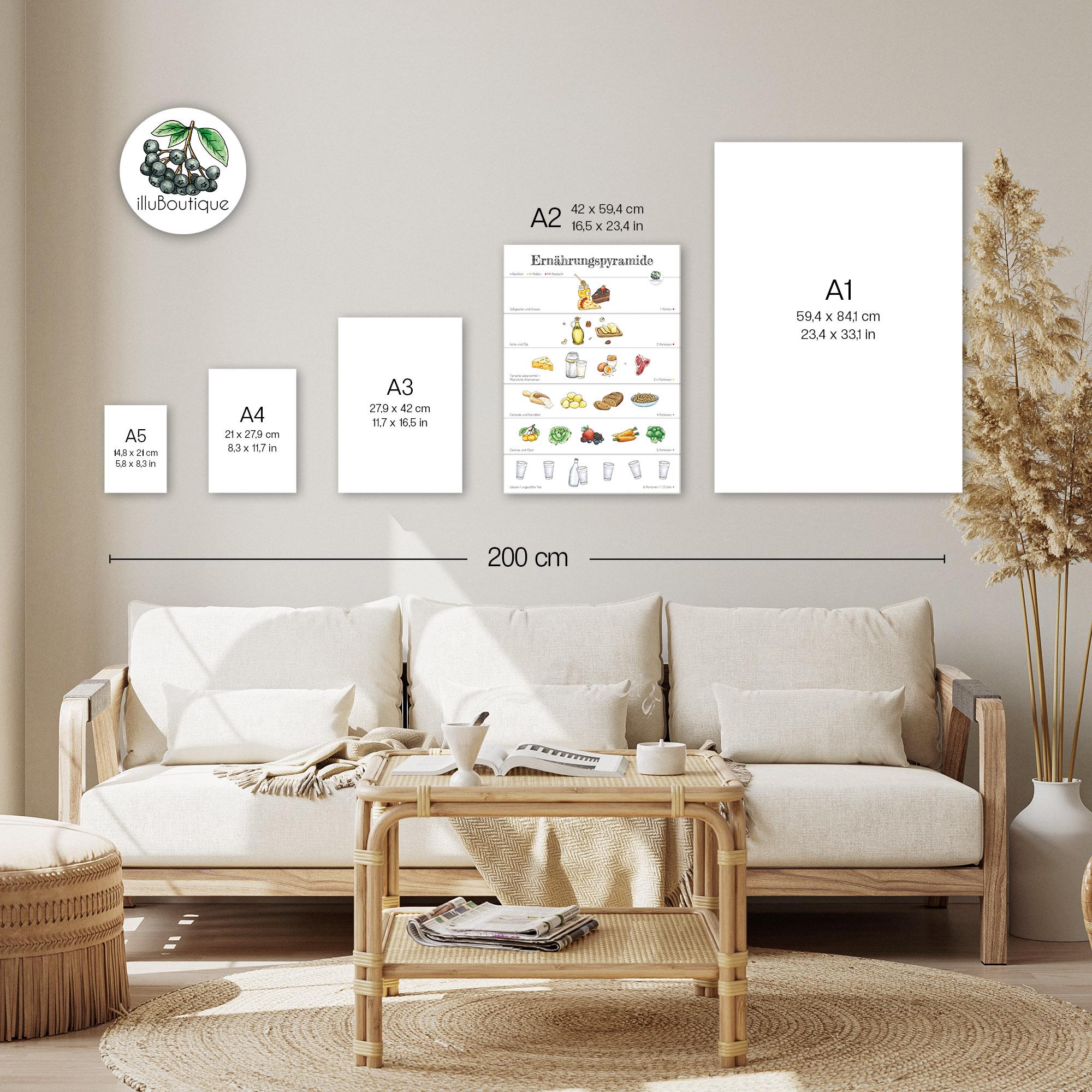 Food Pyramid Poster A2 Learning Aid Print Decoration for School ...