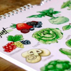 Calendario de temporada frutas y verduras perpetuo, A4, estampado, ilustración, regalo especial novia, calendario 2024 imagen 2