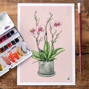 Cartel de orquídeas, A4, planta de interior pintada a mano, ilustración de la naturaleza, decoración, grabado, ilustración, decoración, regalo especial, Navidad