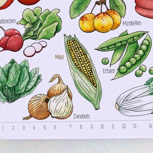 Perpetual seasonal calendar A4 with seasonal, local fruit and vegetables Sustainable watercolor illustrations special gift image 6