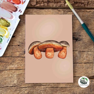 Postal de Bolete de Bruja de Tallo Rebozado, Acuarela, A6, Hongos del Bosque Nativo, Pintada a Mano, Impresión, Ilustración, Calendario de Temporada, Regalo
