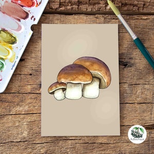 Cartolina con funghi porcini, acquerello, formato A6, funghi autoctoni della foresta, dipinta a mano, stampa di alta qualità, sostenibile, illustrazione, calendario stagionale, regalo