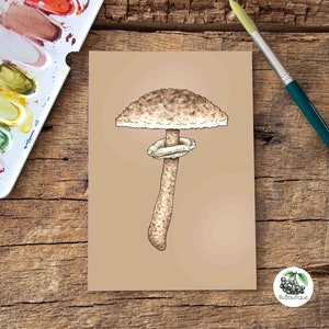 Cartolina con fungo parasole gigante, acquerello, formato A6, funghi autoctoni della foresta, dipinto a mano, stampa, sostenibile, illustrazione, calendario stagionale, regalo