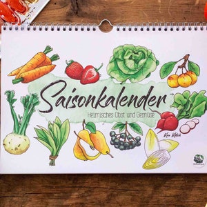Perpetual seasonal calendar A4 with seasonal, local fruit and vegetables Sustainable watercolor illustrations special gift image 2