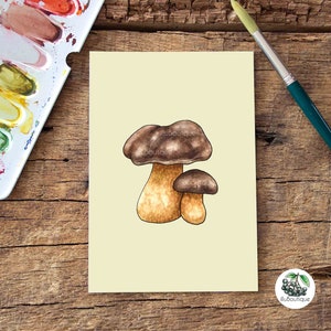 Carte postale aquarelle « Bolet châtaignier », format A6, champignons forestiers indigènes, peinte à la main, impression, illustration, calendrier saisonnier, cadeau