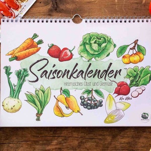 Calendario de temporada frutas y verduras perpetuo, A4, estampado, ilustración, regalo especial novia, calendario 2024 imagen 1