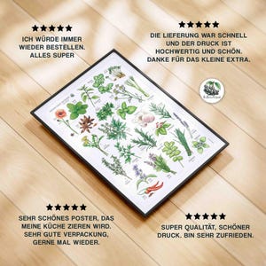 Erbe aromatiche e spezie locali poster A3 calendario stagionale decorazione, stampa, arredamento, regalo speciale per lei immagini stampa regionale stagionale