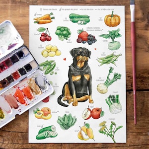 Póster de lista de frutas y verduras para perros A4, dieta saludable, comida para perros, vientre sensible, regalo para mejores amigos, superalimentos para mascotas