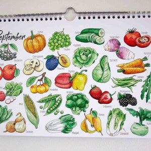 Calendario de temporada frutas y verduras perpetuo, A4, estampado, ilustración, regalo especial novia, calendario 2024 imagen 5