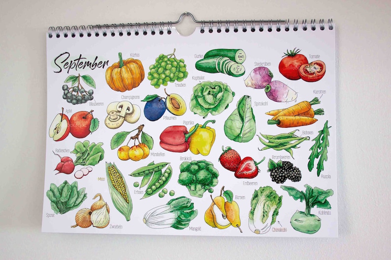 Calendario de temporada frutas y verduras perpetuo, A4, estampado, ilustración, regalo especial novia, calendario 2024 imagen 5