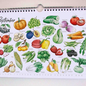 Perpetual seasonal calendar A4 with seasonal, local fruit and vegetables Sustainable watercolor illustrations special gift image 7