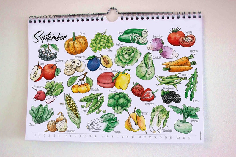 Perpetual seasonal calendar A4 with seasonal, local fruit and vegetables Sustainable watercolor illustrations special gift image 7