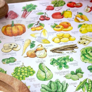 mit Liebe gemaltes Aquarellposter mit saisonalem Obst und Gemüse auf weißem Hintergrund. Detaillierte Illustrationen mit Beschriftungen. Liegt auf Holztisch neben Pinsel und Aquarellpalette. Perfekt für Küche oder als Geschenk für Kunst- und Food-Liebhaber