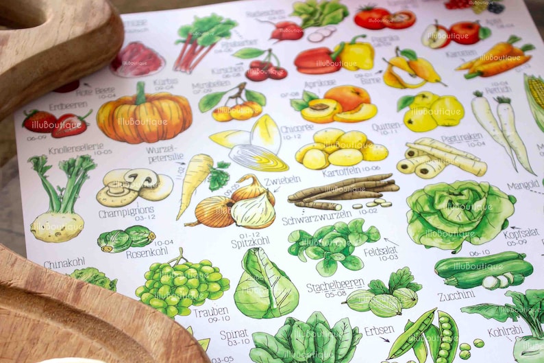mit Liebe gemaltes Aquarellposter mit saisonalem Obst und Gemüse auf weißem Hintergrund. Detaillierte Illustrationen mit Beschriftungen. Liegt auf Holztisch neben Pinsel und Aquarellpalette. Perfekt für Küche oder als Geschenk für Kunst- und Food-Liebhaber