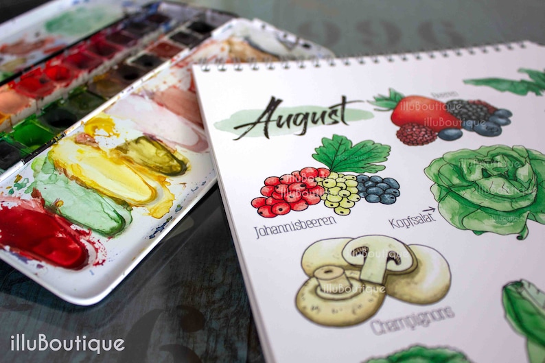 Detailansicht des Saisonkalenders mit handgemalten Obst- und Gemüseillustrationen für den Monat August. Farbenfrohe Aquarelle zeigen saisonale Sorten wie Salat, Beeren und Pilze. Die spiralgebundene Seite liegt flach und ist leicht umzublättern. Ideal zur Orientierung beim regionalen Einkauf. Der Kalender vereint Ästhetik mit Alltagstauglichkeit und ist eine schöne Erinnerung an bewusste Ernährung.
