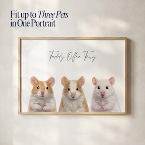 May include: A framed portrait featuring three hamsters with brown and white fur. The text "Fit up to Three Pets in One Portrait" and the names "Teddy Ollie Tiny" are displayed above the hamsters.