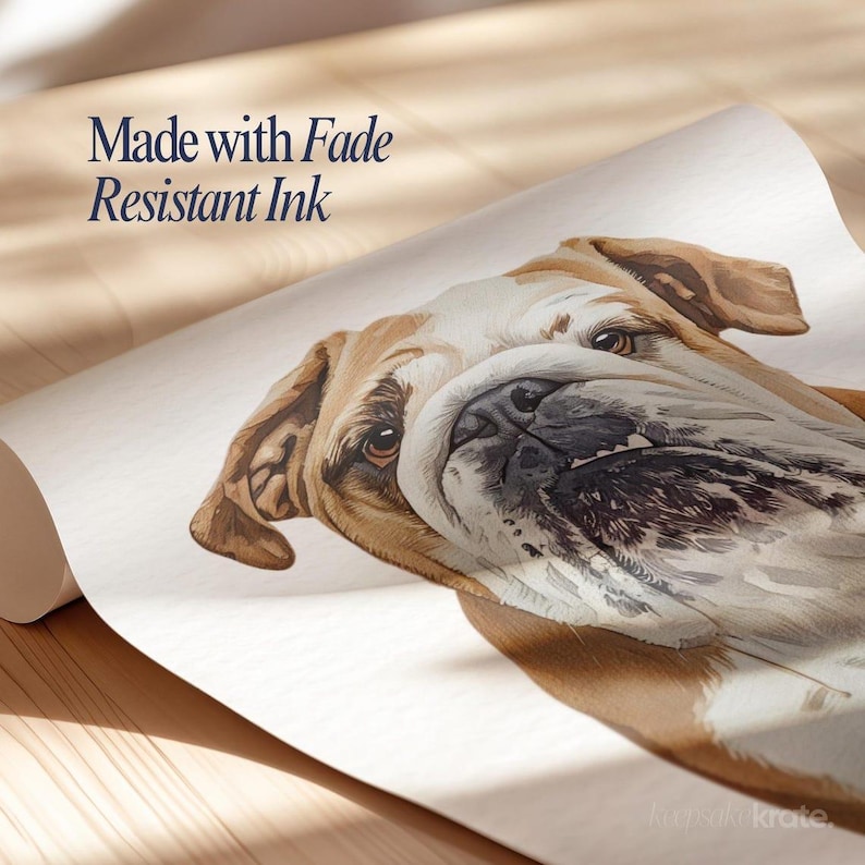 May include: A rolled-up print featuring a watercolor painting of a bulldog's face. The dog has brown and white fur, with detailed facial features. The text "Made with Fade Resistant Ink" is visible in the upper left corner.