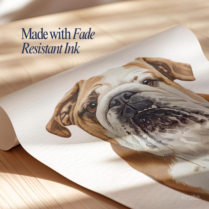 May include: A rolled-up print featuring a watercolor illustration of a bulldog's face. The dog has brown and white fur, with detailed facial features. Text at the top reads "Made with Fade Resistant Ink."