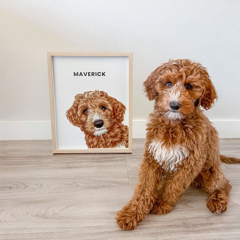 May include: A framed print featuring a detailed illustration of a dog with the name "MAVERICK" above the image. The dog in the print and the real-life dog are both brown with white markings. The dog is sitting on a wooden floor.