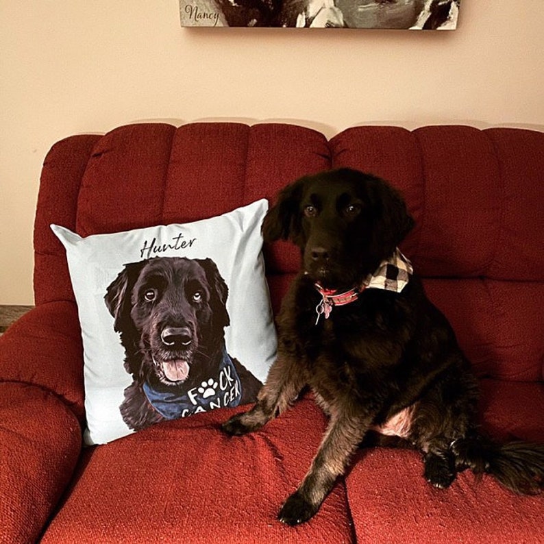CUSTOM PET PILLOW Personalized Dog Pillow Custom Dog Etsy Canada