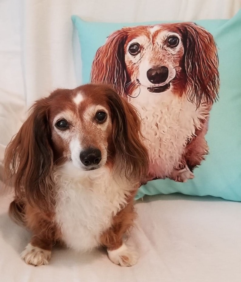 CUSTOM PET PILLOW Personalized Dog Pillow Custom Dog Etsy Canada