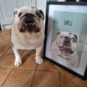 Custom Pet Portrait Framed | Custom Dog Portrait | Digital Dog Art | Pet Portrait Custom | Pet Loss Gifts | WORLDWIDE Shipping Available image 6