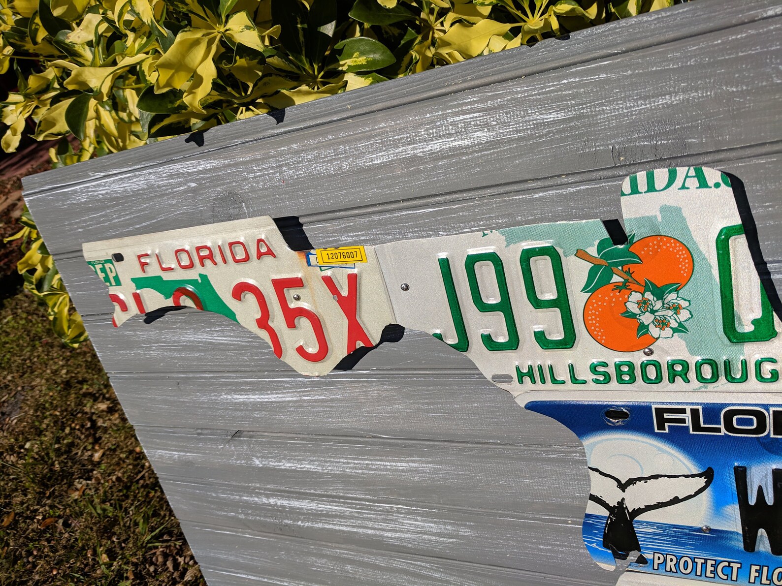 Protect Florida Whales License Plate Sculpture Small Etsy