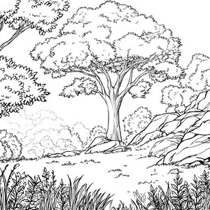 May include: Black and white line drawing of a woodland scene with a large tree in the centre and rocks in the foreground.