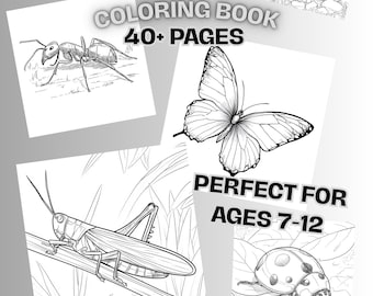 Insect Coloring Pages for Kids: Educational Bug & Arachnid Pack (PDF Download, 40 Pages)