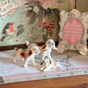 犬の置物　3種類それぞれ可愛い　レトロ 楽天市場】秋田犬置物 かわいい置物 犬の置物秋田犬 あずきちゃんお庭