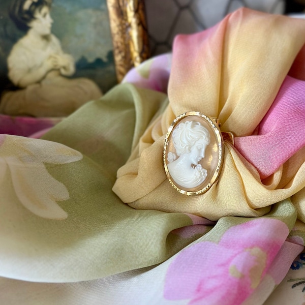 Beautiful Cameo Scarf Clip - Cameo Shield Shape - Beautiful vintage Cameo resin Scarf Clip - Fashion Scarf Clip - vintage Retro