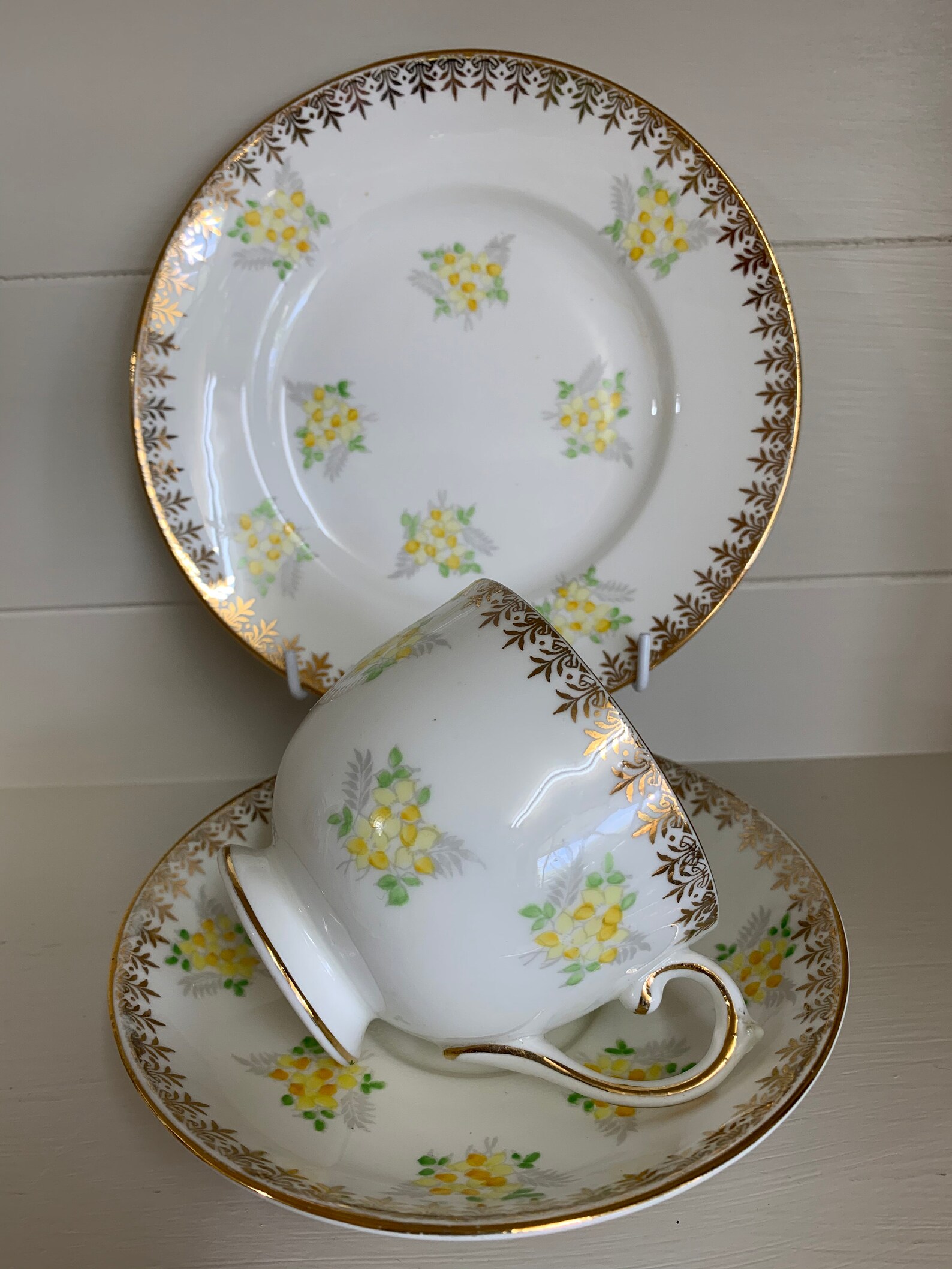Salisbury Fine Bone China Trio Yellow and Gold Stunning Etsy