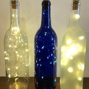 Our Home Has an Open Door Policy Lighted Wine Bottle. Clear, Frosted ...