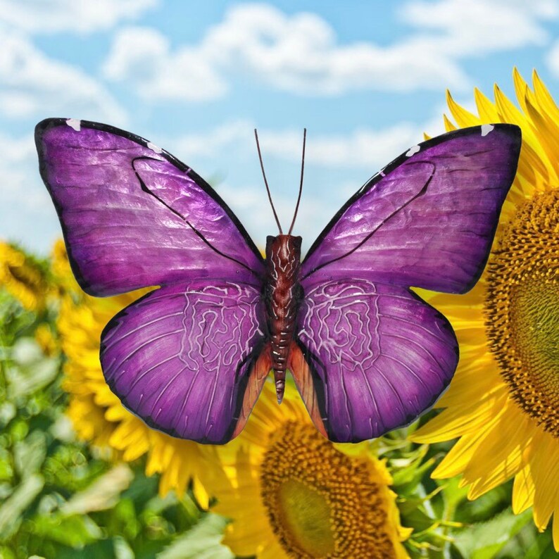 Butterfly Wall Decor Etsy