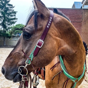 Custom Horse Headstall with Name Tooling
