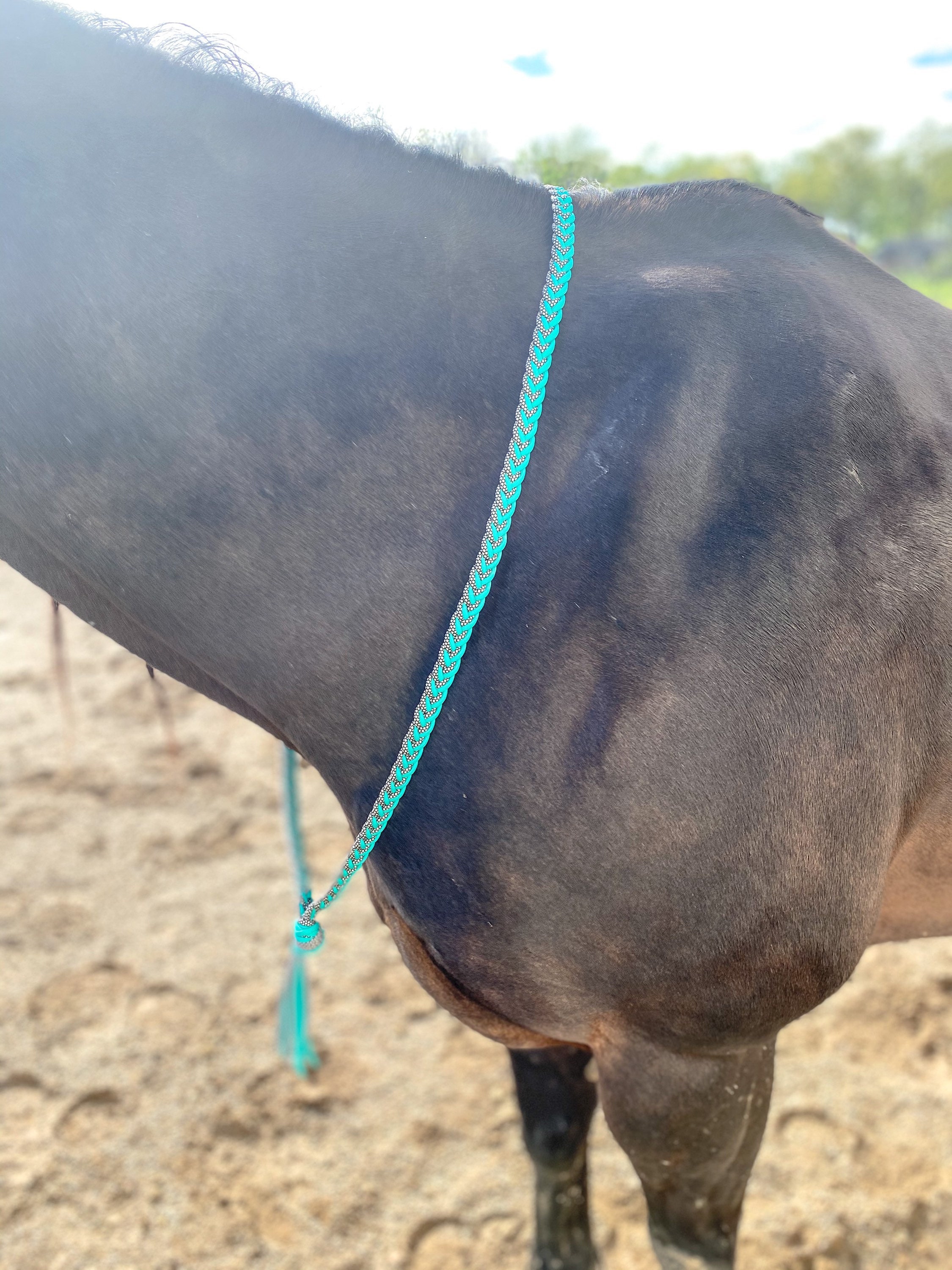 Custom Horse Neck Rope/ Custom Pony Neck Rope/ Liberty/ Etsy