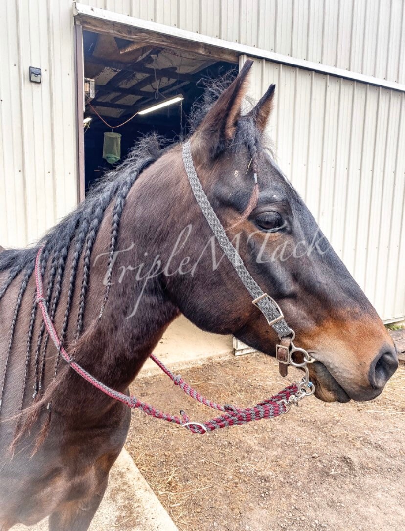 Custom Horse Reins/barrel Racing Reins Etsy