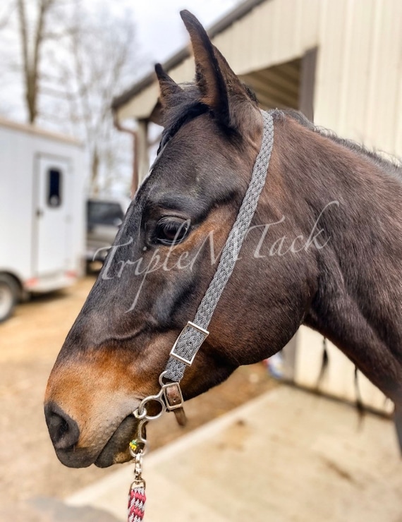 Licou En Cuir Tressé Marron Pour Cheval – Taille Adulte – Style Western – Fait Main