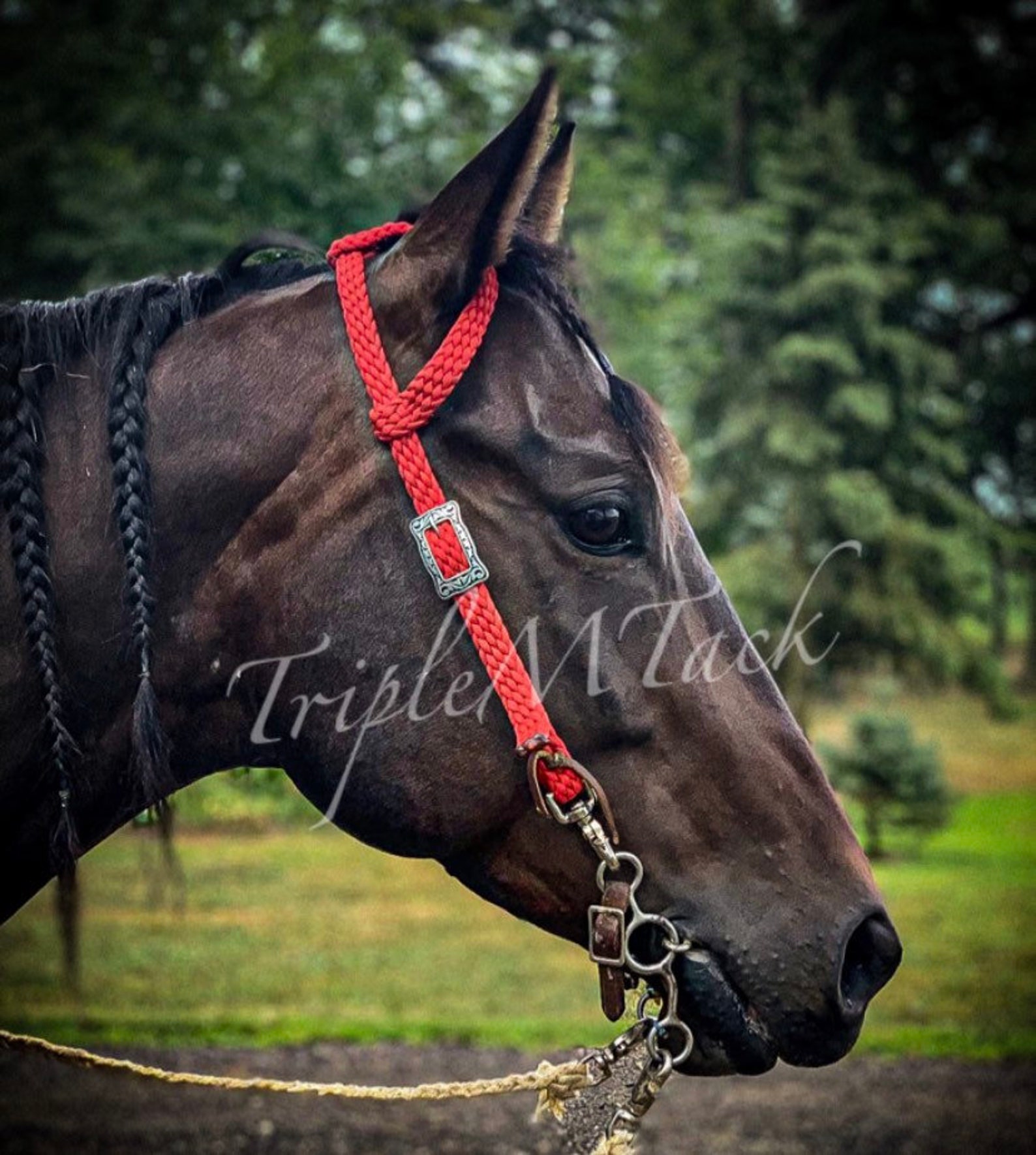 Custom One Ear Headstalls/ Horse Bridle/ Horse Headpiece/ Etsy