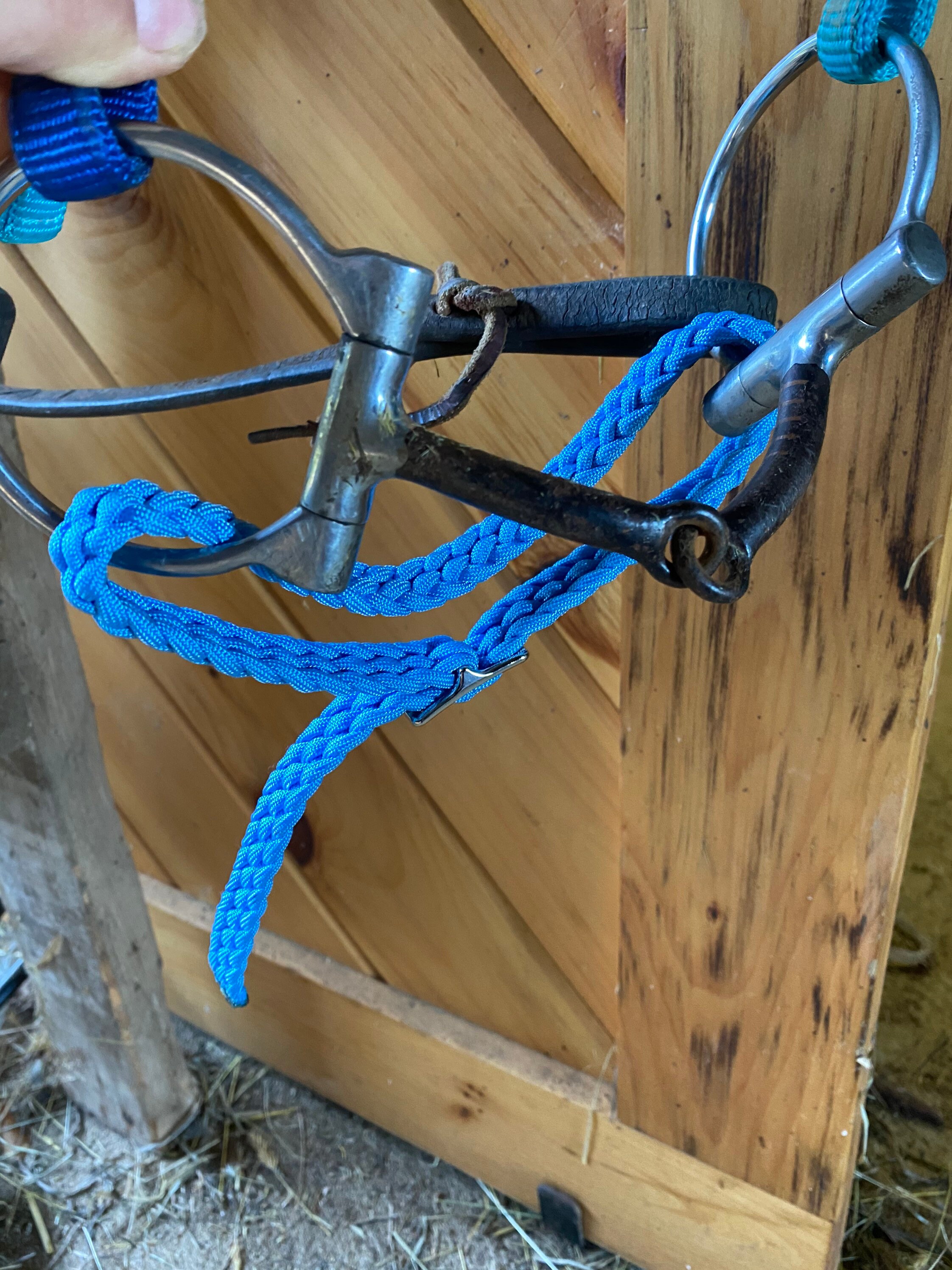 Custom Horse Curb Strap/ Chin Straps Etsy