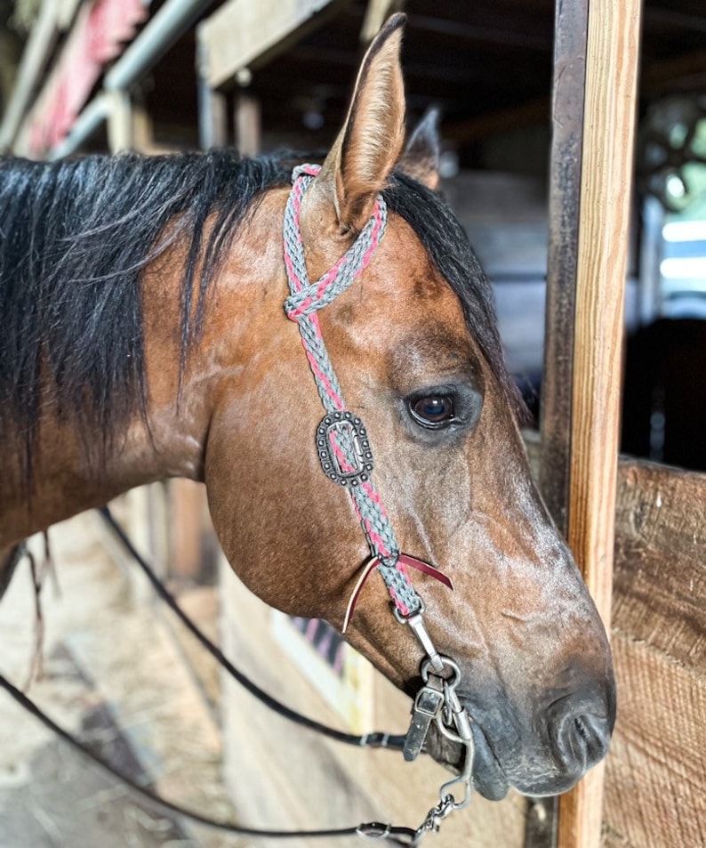 Custom One Ear Headstalls/ Horse Bridle/ Horse Headpiece/ Etsy