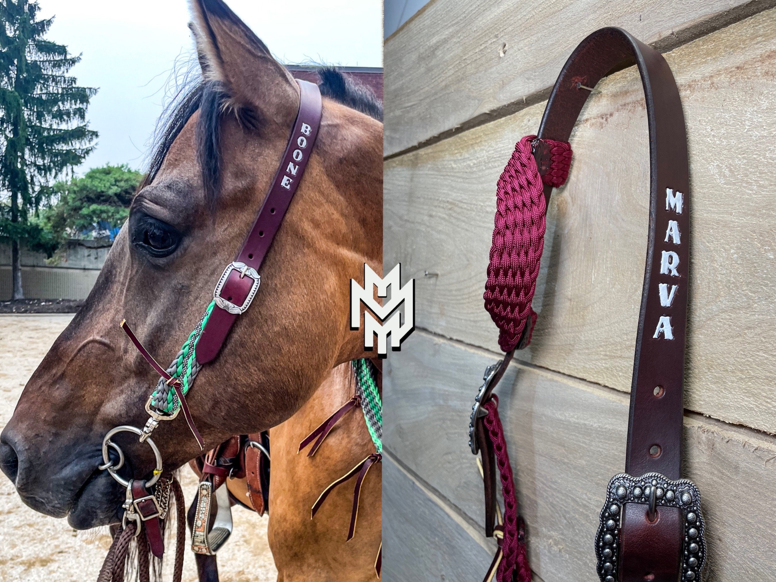 Louis Vuitton noseband bronc halter LV  Western pleasure horses, Horse  show clothes, English horse tack