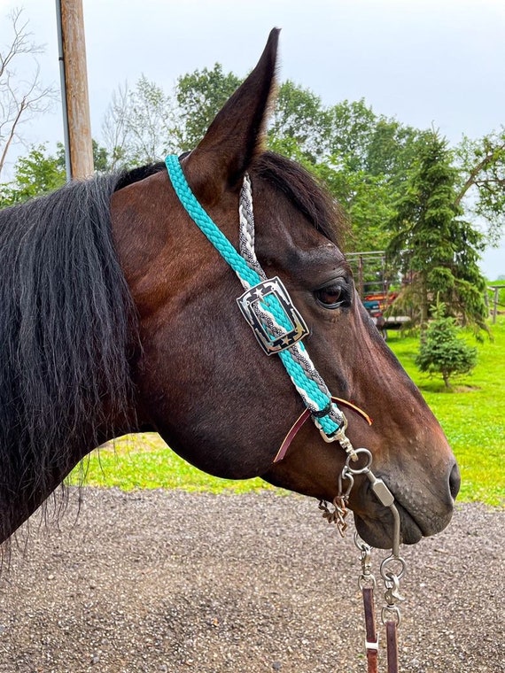 Custom Hand Braided Split Ear Horse Headstalls