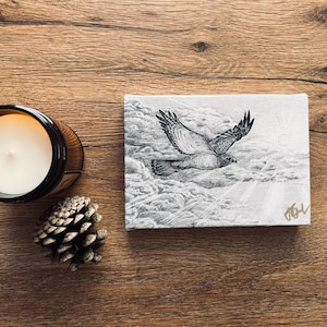 May include: A black and white drawing of a hawk flying through clouds. The drawing is on a white canvas and is signed in the bottom right corner.