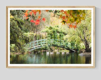 Autumn Garden Photography Print, Nature Landscape Wall Art, Fall Decor