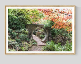 Autumn Garden Photography Print, Nature Landscape Wall Art, Fall Decor